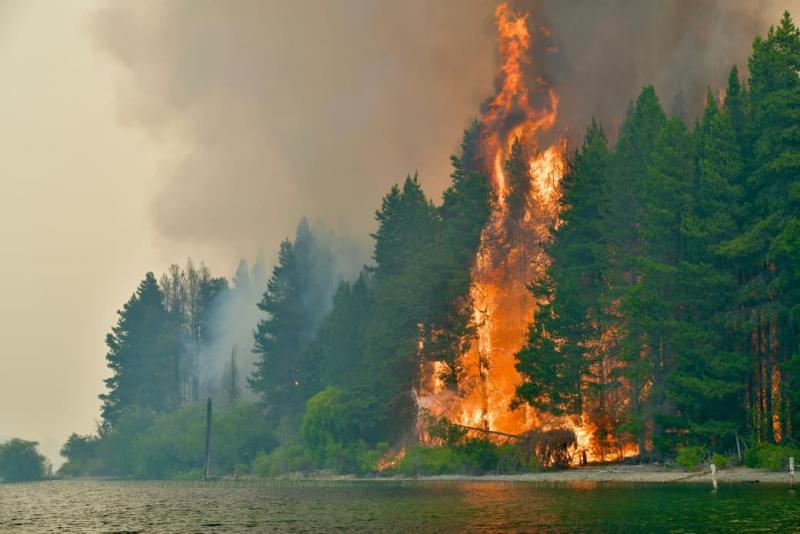 Chile anuncia cooperación con Argentina por los incendios forestales en la Patagonia | Gobierno del Chubut