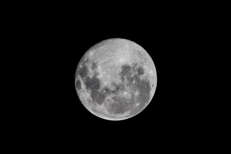 T13 - Primera Luna Llena de 2026 será superluna: cuándo ver la Luna del Lobo y qué otros fenómenos coincidirán | Agencia UNO