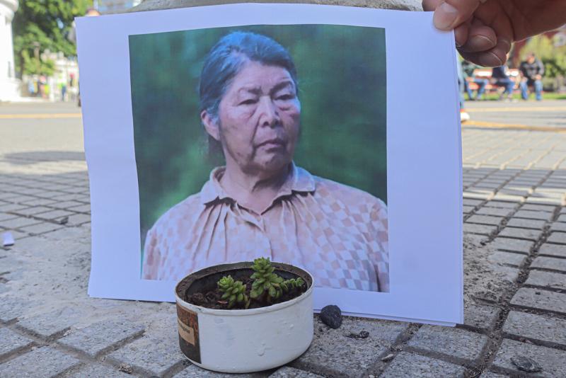 Agencia Uno - Julia Chuñil