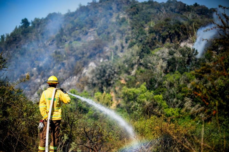 Bombero y funcionario de Conaf sería el responsable de iniciar incendio forestal en Coronel - Agencia Uno (Referencial)