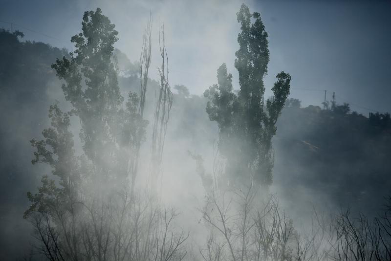 Agencia UNO - Denuncian que alerta SAE llegó tarde en Biobío: La respuesta que dio Senapred