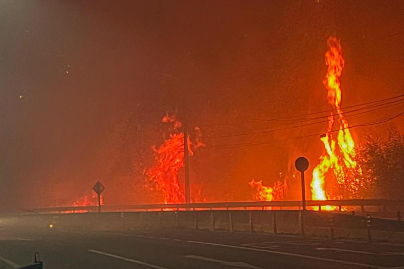 Alcalde de Penco cuestiona demora en respuesta del gobierno ante incendios forestales y pide ayuda militar: "hay vidas en riesgo ahora” - Agencia Uno