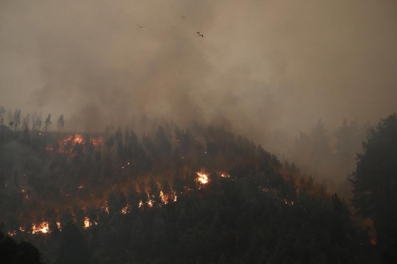 T13 - Vientos de hasta 80 km/h y noches cálidas: Complejo escenario meteorológico dificulta combate de incendios en Biobío y Ñuble | Agencia UNO