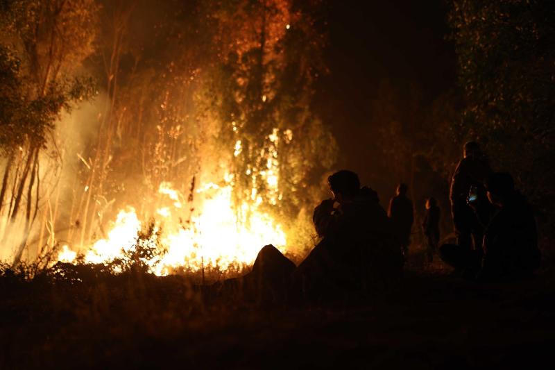 Agencia Uno - Incendio forestal