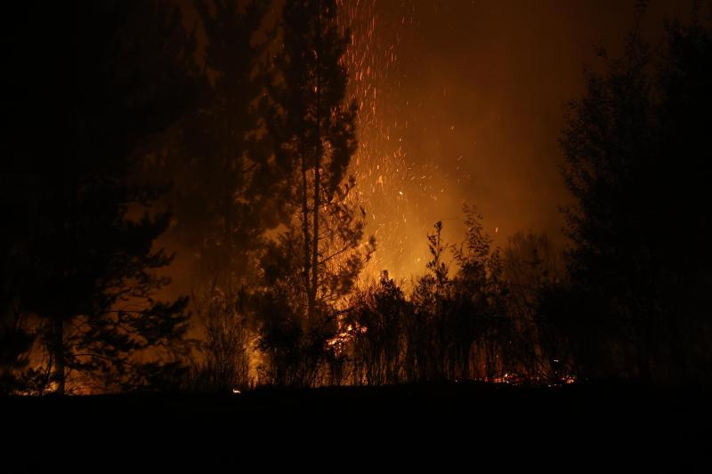 Agencia Uno - Nuevo balance por incendios forestales: víctimas fatales suben a 21 en el centro-sur del país