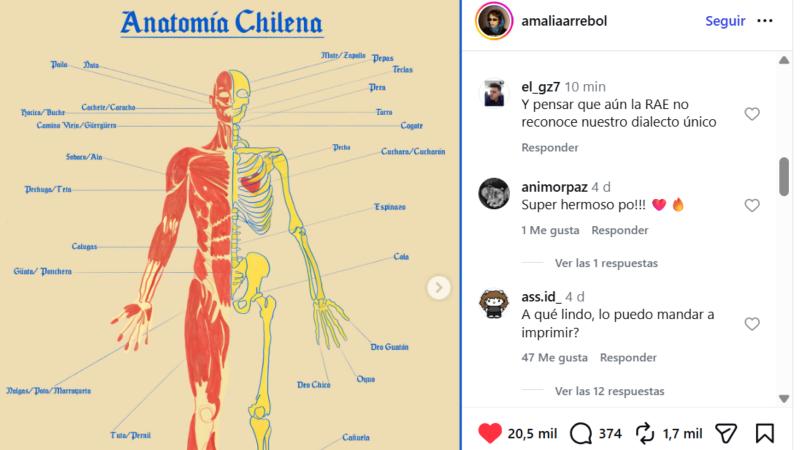 Instagram - Artista se viraliza al renombrar partes del cuerpo con modismos chilenos