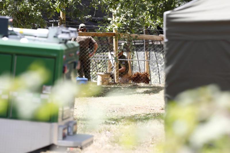 Caso Julia Chuñil: Encuentran sangre en galpón - Aton