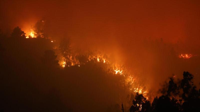 Aton - Unidos por Ñuble y Biobío: Los animadores confirmados para la transmisión solidaria