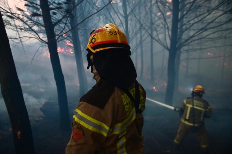 Aton - Ministro Cordero confirma 30 detenidos por megaincendios en el Ñuble y Biobío