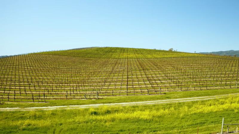 ¿Recuerdas esta imagen?: La historia tras el fondo de pantalla que marcó generaciones - Captura video I Found the Windows XP Wallpaper ANDREW LEVITT