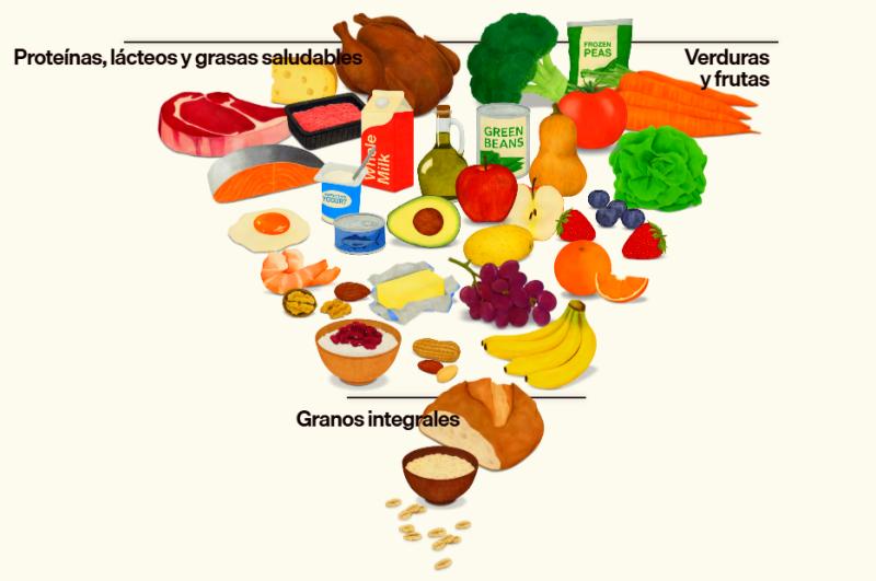Estados Unido presenta nueva pirámide nutricional - realfood.gov