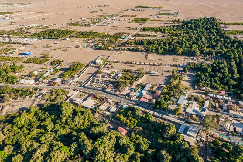 Universidad Andrés Bello - Pica y sus Oasis