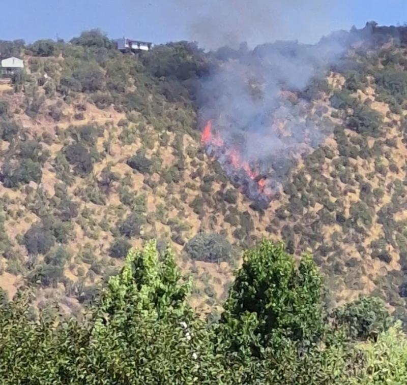 T13 - Incendio forestal se desarrolla en ladera de cerro en Paine: Senapred declaró Alerta Roja | RRSS