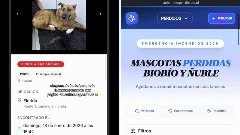 Captura - Familia buscó a la perrita en sitio clave de animales perdidos