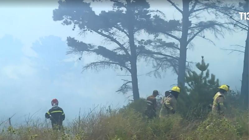T13 -Intenso despliegue en Laguna Verde por incendio forestal: fuego amenaza casas