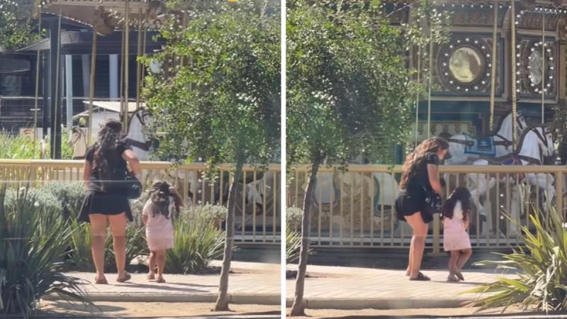 Mujer sustrajo un pato desde la laguna de centro comercial - Instagram @sergio.narchi