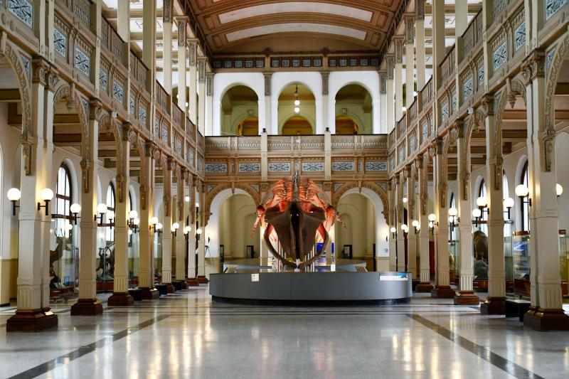 gobiernosantiago - día del Patrimonio Verano