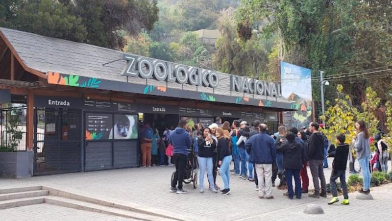 Agencia UNO - Zoológico Metropolitano celebra 100 años con entradas gratuitas: Revisa cómo conseguirlas AQUÍ