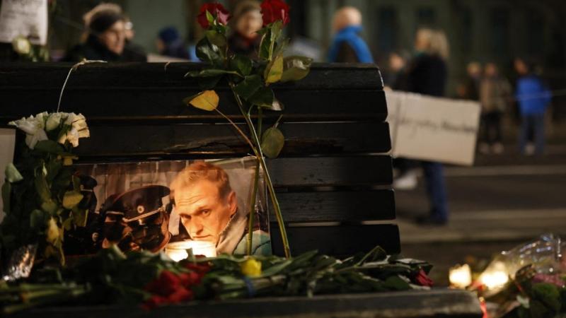 ¿Qué es la epibatidina? El potente veneno obtenido de una rana con el que habrían asesinado al opositor ruso Alexei Navalny- AFP