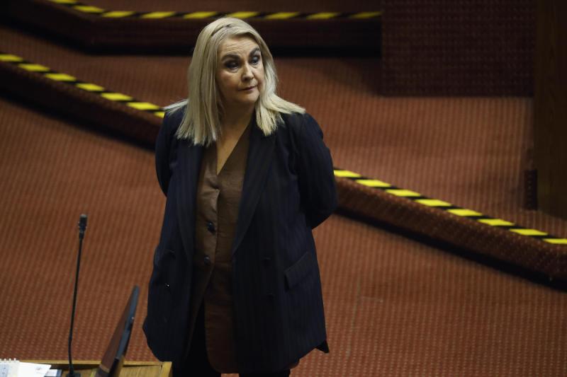 Aton- Pamela Jiles, diputada del PDG