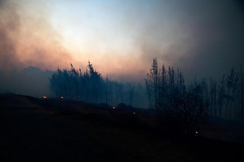Aton (Referencial) | Senapred solicita evacuar sector en la comuna de Maule por incendio forestal: Hay alerta amarilla
