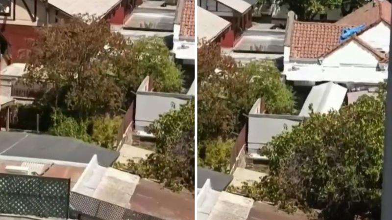 T13 - El patio donde cuidadoras maltrataban a adultos mayores y personas con discapacidad