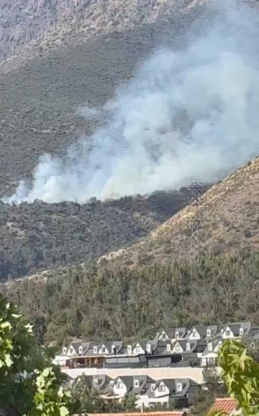 Reportan incendio forestal en Quebrada de Macul - Captura