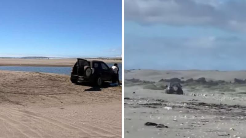 Denuncian a conductor que ingresó a Humedal de Mantagua - Instagram @fundacionhumedalmantagua