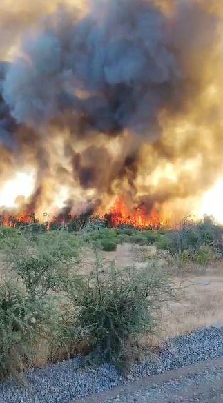 Incendio forestal en San Nicolás - Captura de video cedido a T13