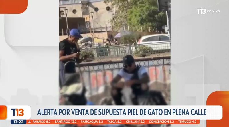 T13 - Supuesta venta de piel de gato en plena calle