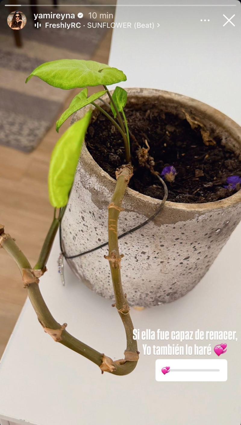 Instagram - El mensaje de Yamila Reyna tras confirmarse lo que hará Américo en la Gala de Viña