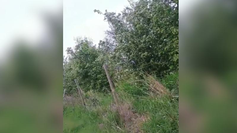 Reportajes T13 - El recorrido por fuera de la parcela del matrimonio