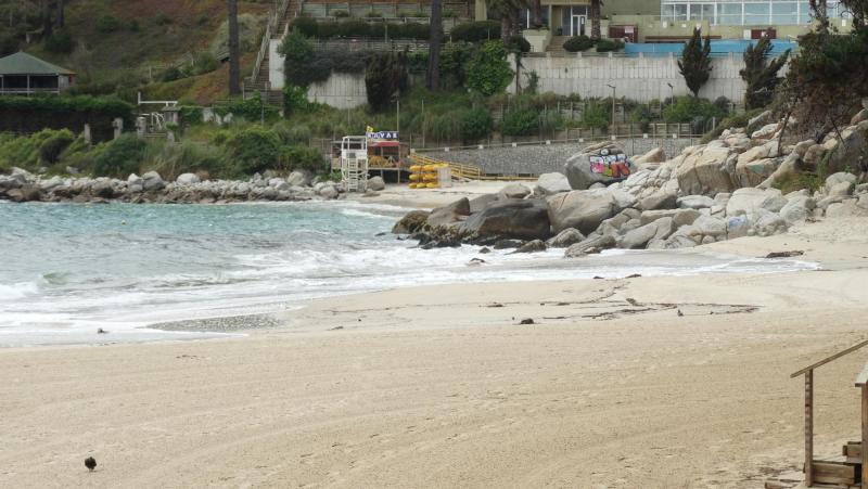 Tragedia en Algarrobo: Cómo identificar si la playa es peligrosa - Agencia Uno