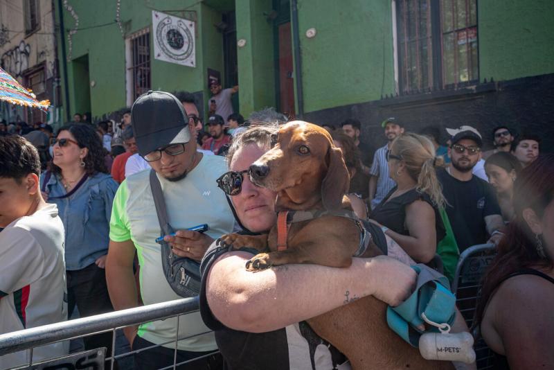 Agencia Uno - El verdadero trasfondo de hablar con las mascotas