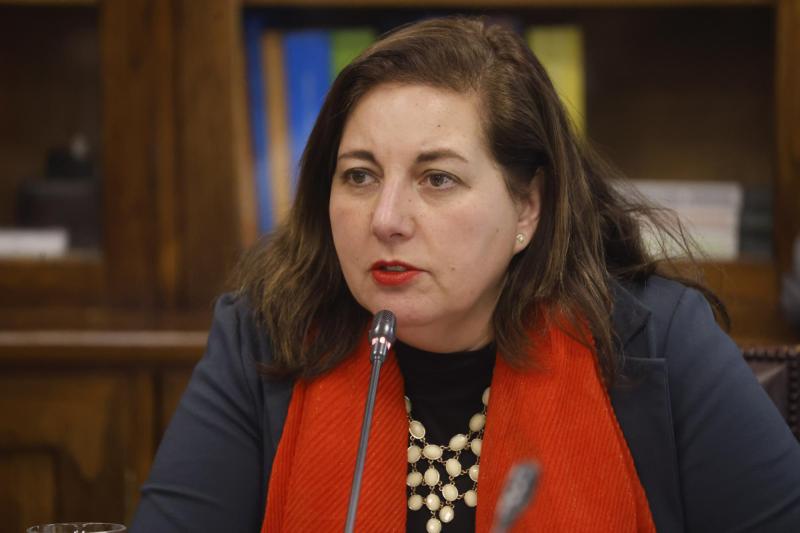 Aton- Paulina Vodanovic, senadora y timonel del PS