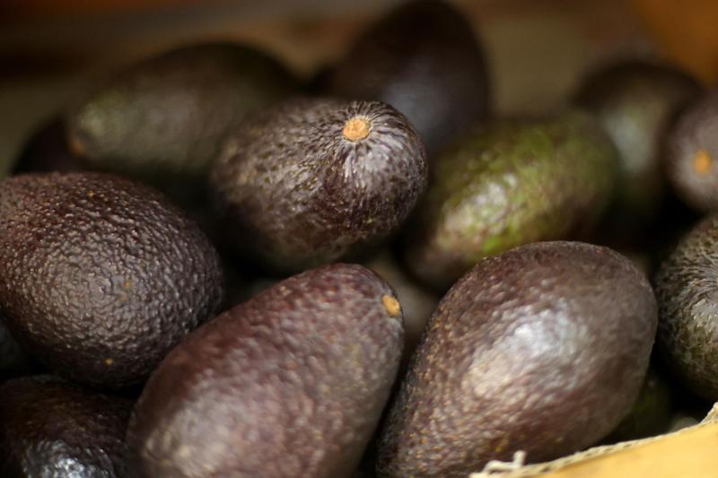 Chile es el segundo mayor consumidor de paltas del mundo - Aton