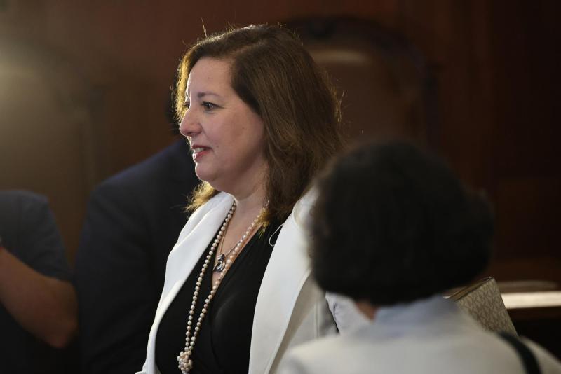 Aton- Paulina Vodanovic, senadora y timonel del Partido Socialista