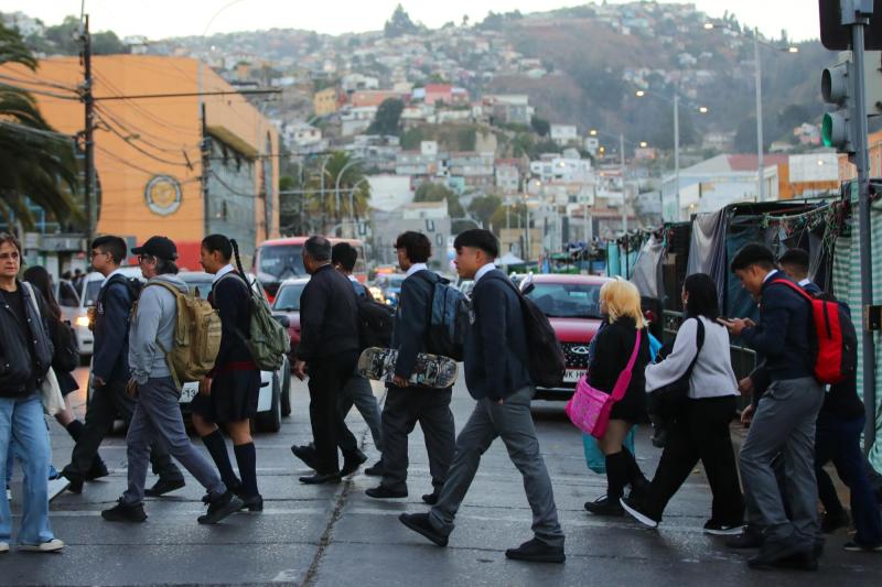 Aton - Escuelas tienen plaga de raton