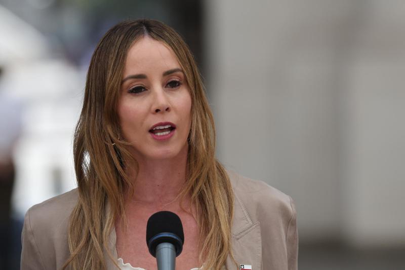 Qué dijo Sedini tras el retiro de decretos medioambientales - Aton