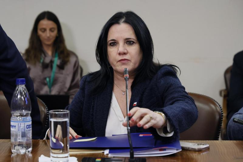 Asesor de ministra Steinert salió del país con licencia médica - Aton