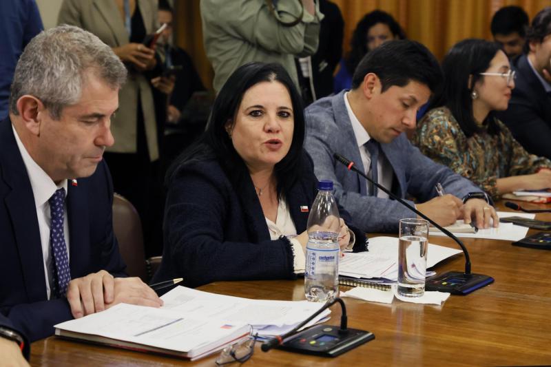 Aton- Steinert dio declaraciones en la Comisión de Seguridad Ciudadana de la Cámara