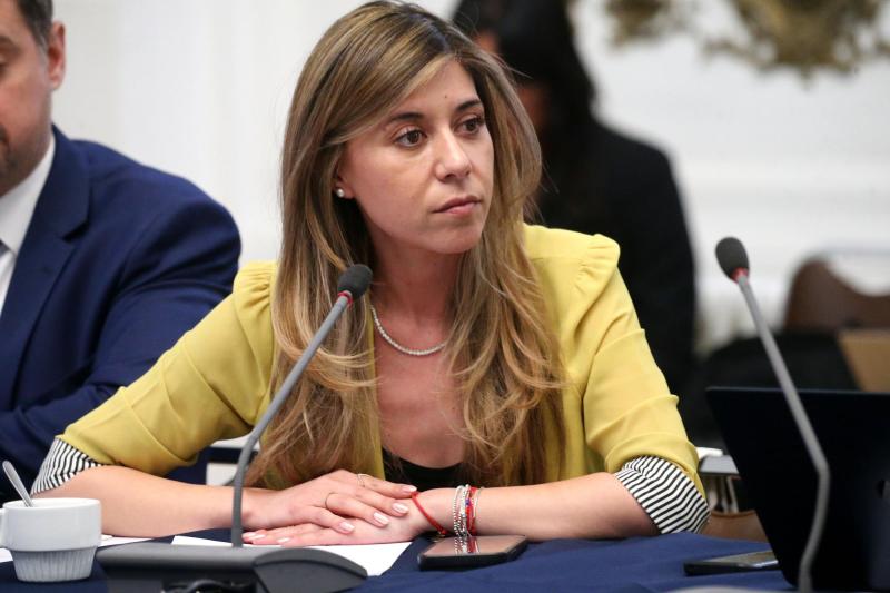 Aton- Senadora Daniella Cicardini (PS)