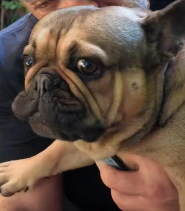 Instagram - José Antonio Neme se ausenta en pleno programa en Viña del Mar por una urgencia familiar