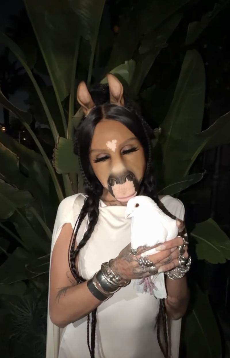 Redes sociales - La DJ que se autopercibe como caballo: quién es HorsegiirL, la artista que llegará a Lollapalooza Chile 2026