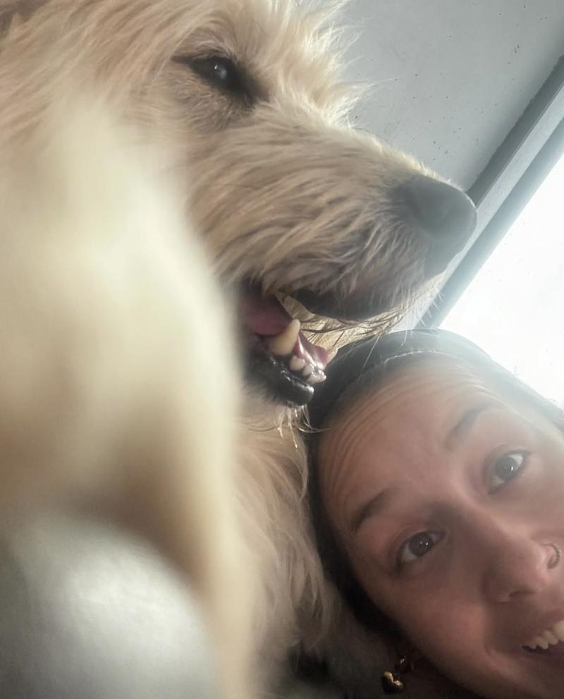 Redes Sociales - El emotivo relato de Denisse Rosenthal sobre su perro Farkas