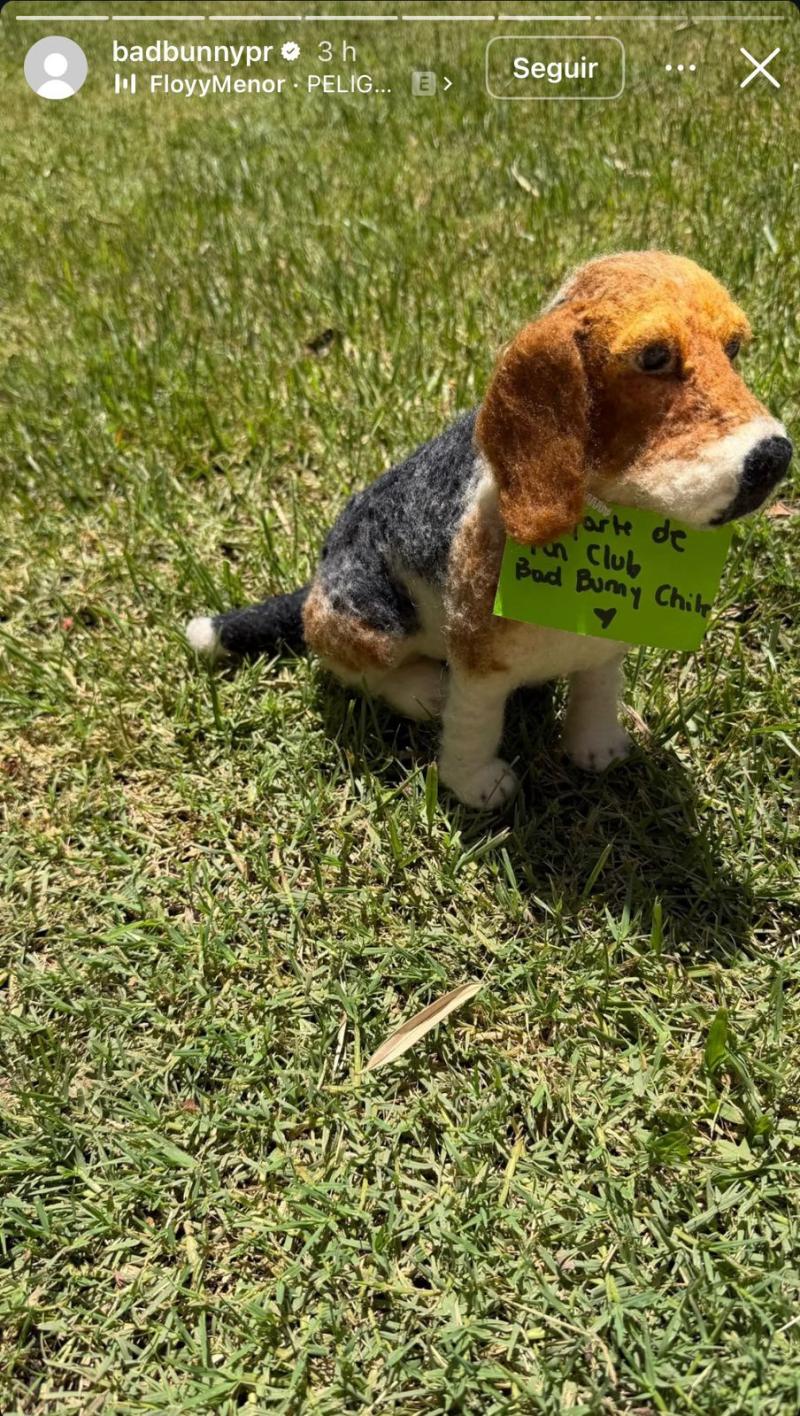 Instagram - Bad Bunny