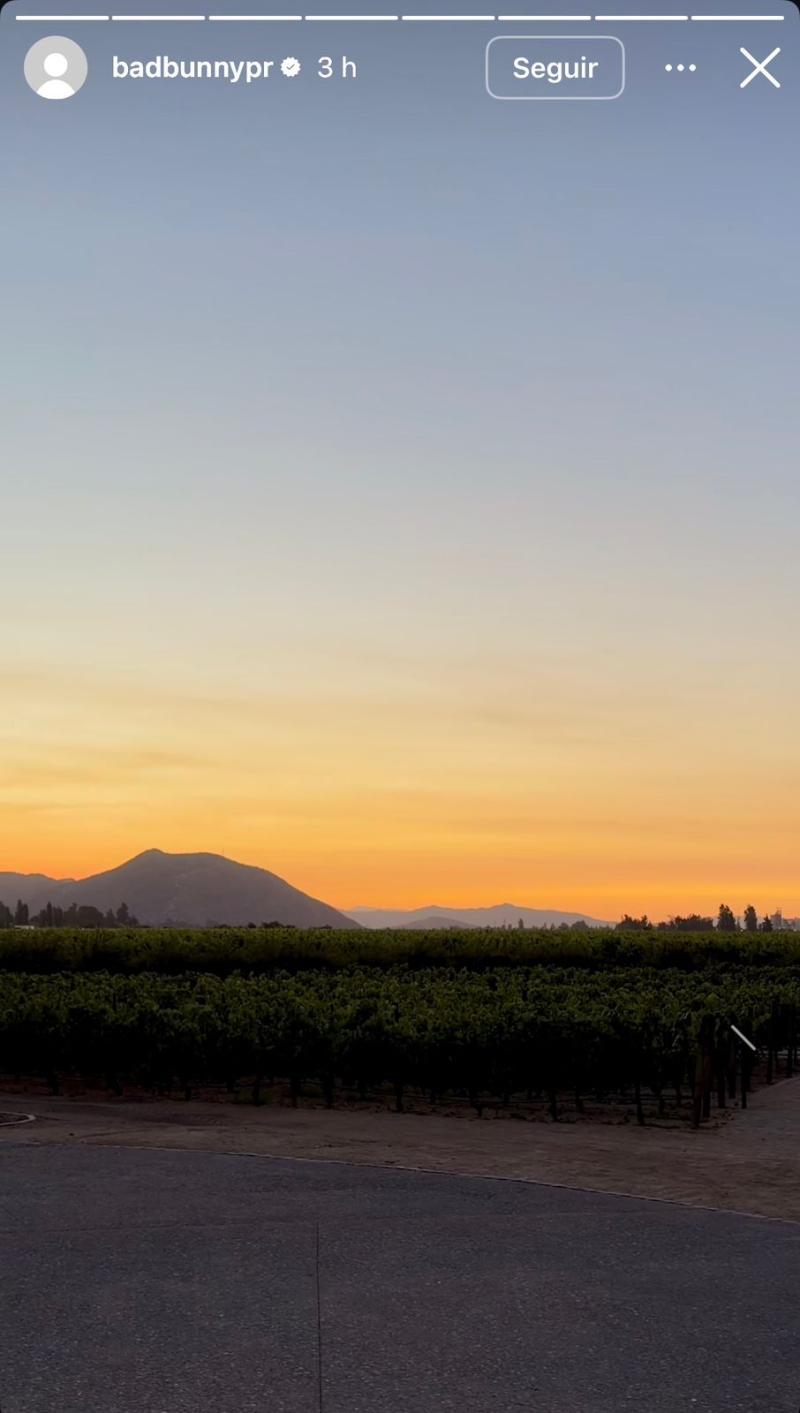 Instagram - Bad Bunny