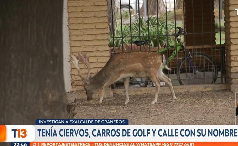 Reportajes T13 - Investigan a exalcalde de Graneros