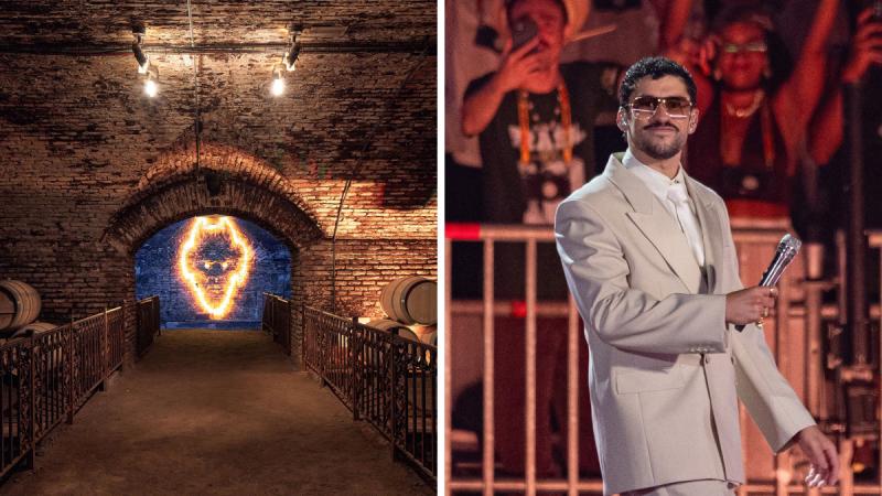 El lugar de Chile que enamoró a Bad Bunny - Viña Concha y Toro / AFP