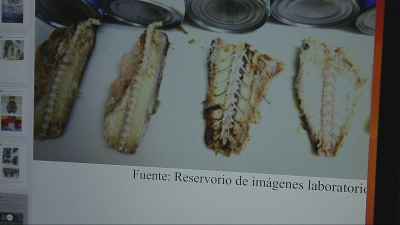 Jurel era caballa - T13